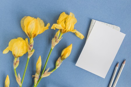 Mockup white greeting card with iris flower and blue backgroundの写真素材