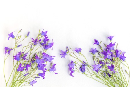 Summer flowers on a light background empty space for your text, top viewの写真素材