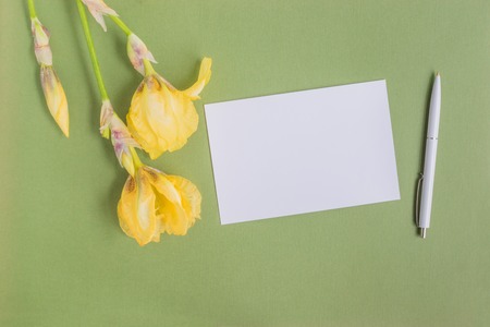 Mockup white greeting card with iris flower and green backgroundの写真素材