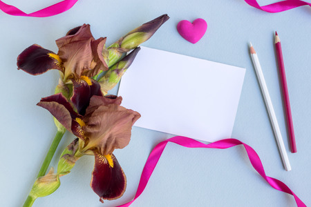 Mockup white greeting card with iris flower and light blue backgroundの写真素材