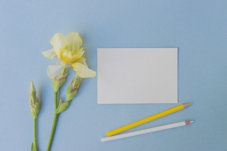 Mockup white greeting card with iris flower and light blue backgroundの写真素材