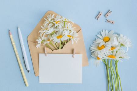 Mockup white greeting card and envelope with white camomiles on a light blue backgroundの写真素材