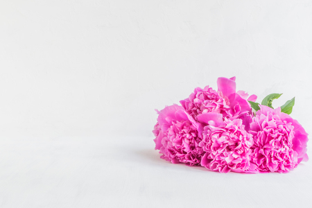 Pink peonies on a light background. Floral still lifeの写真素材