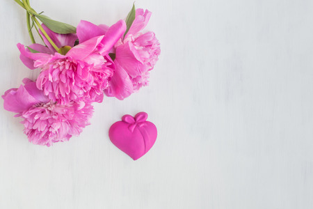 Pink peonies on a light background empty space for your text, flat layの写真素材