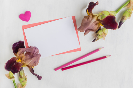 Mockup white greeting card with iris flower and light backgroundの写真素材