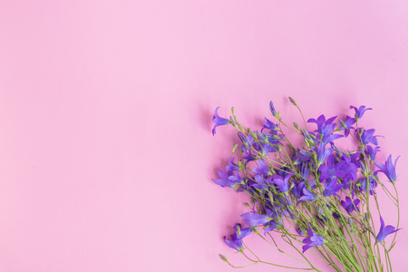 Summer flowers on a pink background empty space for your text, top viewの写真素材