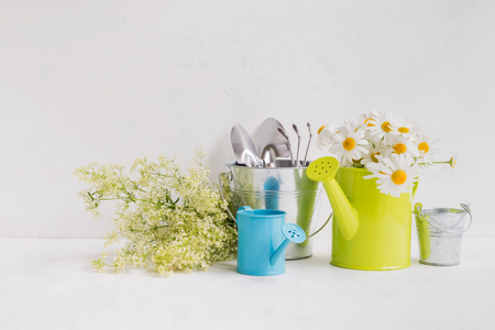 Home interior and garden concept with summer flowers in a  metal watering can on a light backgroundの写真素材