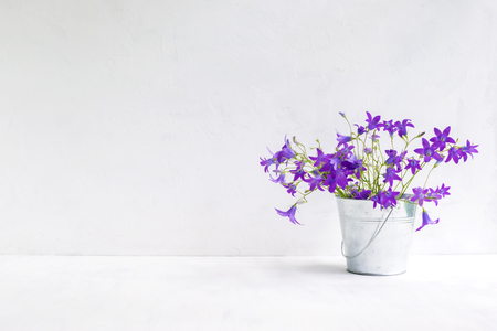 Summer flowers in a metal bucket on a light background. Interior decorの写真素材