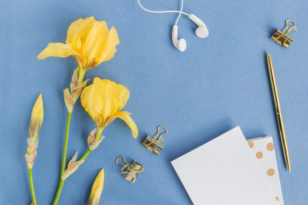 Flat lay desk with iris flower, notebook and greeting card on blue backgroundの写真素材