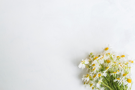 White daisies on a light background empty space for your text, top viewの写真素材