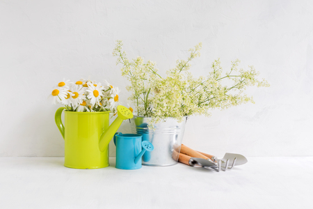 Home interior and garden concept with summer flowers in a metal bucket on a light backgroundの写真素材