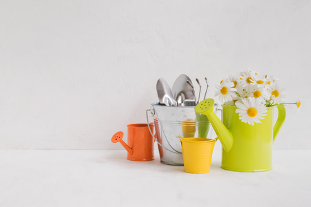 Home interior and garden concept with summer flowers in a  metal watering can on a light backgroundの写真素材