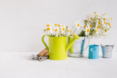 Home interior and garden concept with summer flowers in a metal bucket on a light backgroundの写真素材