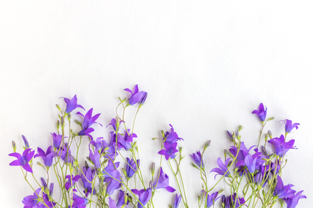 Summer flowers on a light background empty space for your text, top viewの写真素材