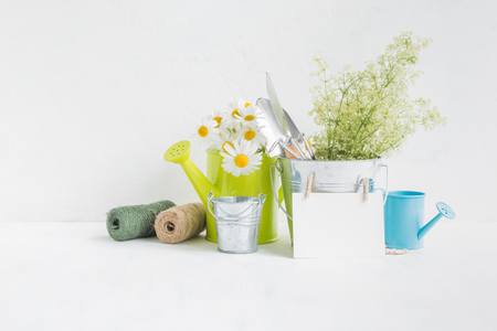 Home interior and garden concept with summer flowers in a metal bucket on a light backgroundの写真素材