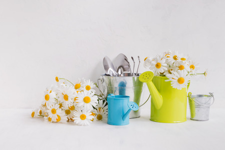Home interior and garden concept with summer flowers in a  metal watering can on a light backgroundの写真素材