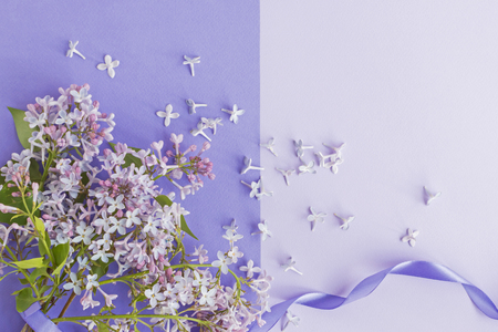 Flat lay creative concept with lilac branches on a pastel paper backgroundの写真素材