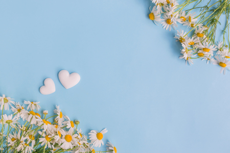 White daisies on a light blue background empty space for your text, top viewの写真素材