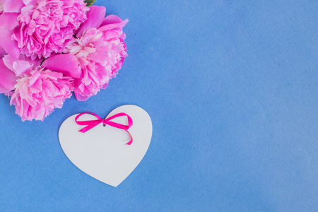 Pink peonies on a blue background empty space for your text, flat layの写真素材