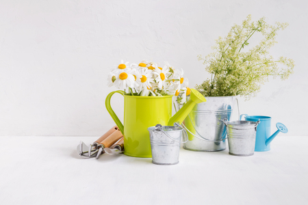 Home interior and garden concept with summer flowers in a metal bucket on a light backgroundの写真素材
