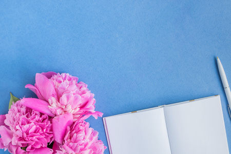 Flat lay desk with pink peonies on a blue backgroundの写真素材