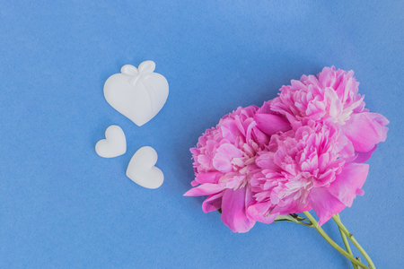 Pink peonies on a blue background empty space for your text, flat layの写真素材