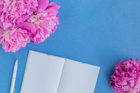 Flat lay desk with pink peonies on a blue backgroundの写真素材