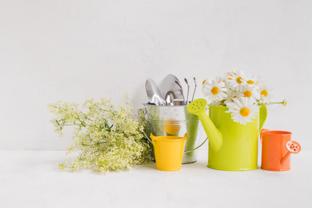 Home interior and garden concept with summer flowers in a  metal watering can on a light backgroundの写真素材
