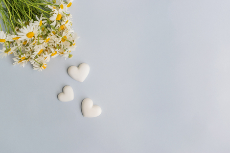White daisies on a light background empty space for your text, top viewの写真素材