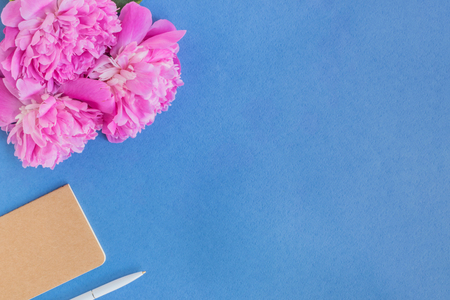 Flat lay desk with pink peonies on a blue backgroundの写真素材