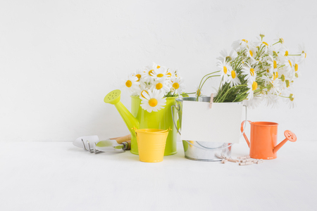 Home interior and garden concept with summer flowers in a metal bucket on a light backgroundの写真素材