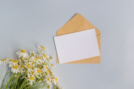Mockup white greeting card and envelope with white white daisies on a light blue backgroundの写真素材