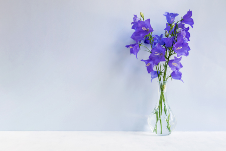 Summer blue flowers in a vase on a light blue background. Interior decorの写真素材