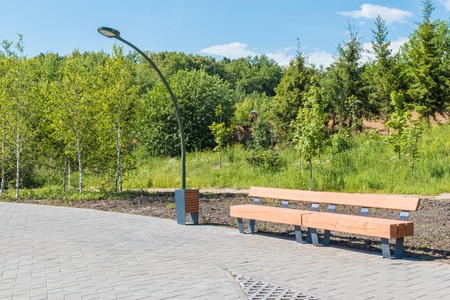 Wooden bench in a summer park with trees, a street lamp and the wayの写真素材