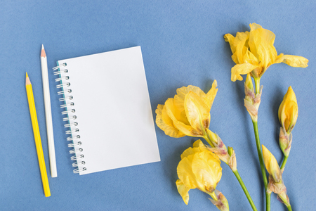 Mockup notebook with iris flower and blue background empty space for your text, top viewの写真素材
