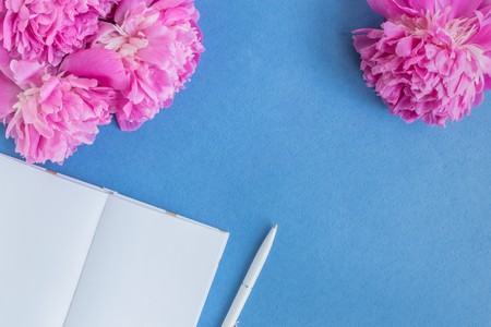 Flat lay desk with pink peonies on a blue backgroundの写真素材