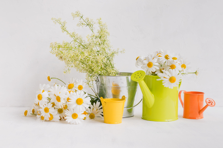 Home interior and garden concept with summer flowers in a metal bucket on a light backgroundの写真素材