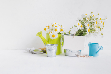 Home interior and garden concept with summer flowers in a metal bucket on a light backgroundの写真素材