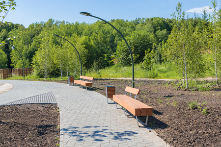 Wooden bench in a summer park with trees, a street lamp and the wayの写真素材