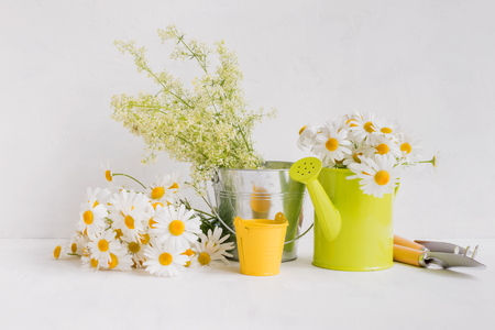 Home interior and garden concept with summer flowers in a metal bucket on a light backgroundの写真素材