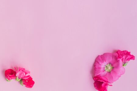 Flat lay frame of pink flowers on a pink backgroundの写真素材