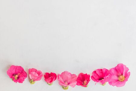 Flat lay frame of pink flowers on a light backgroundの写真素材