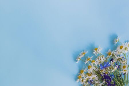 Bouquet of summer flowers on a blue background. Top view, flat layの写真素材