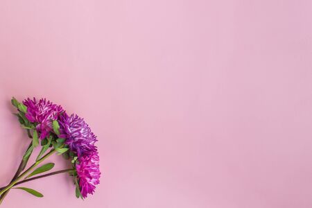 Bouquet with pink flowers on pink background empty space for your text, top viewの写真素材