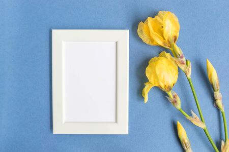 Mockup with a white frame and iris flower on a blue backgroundの写真素材