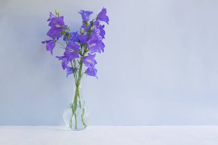 Summer blue flowers in a vase on a light blue background. Interior decorの写真素材