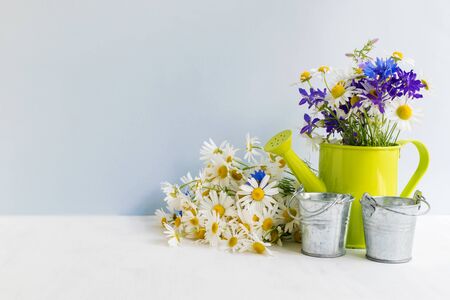 Home interior and garden concept with summer flowers in a metal watering can on a light blue backgroundの写真素材