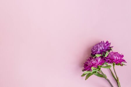 Bouquet with pink flowers on pink background empty space for your text, top viewの写真素材