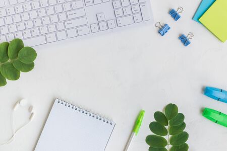 Blogger or freelancer workspace with notebook and green leaves on light backgroundの写真素材