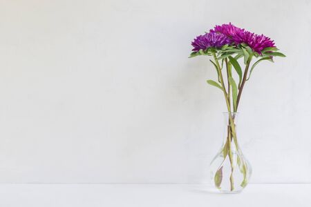Pink flower in a vase on a light background. Interior decorの写真素材